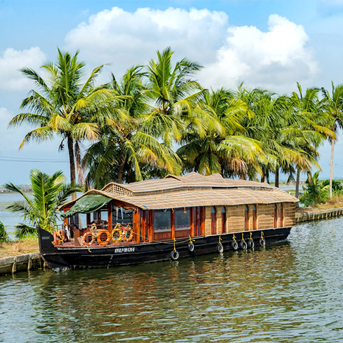 Kochi (1)